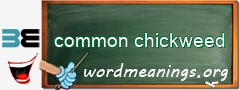 WordMeaning blackboard for common chickweed